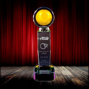 IGM 051 - Fusion Crystal Metal Award