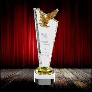 IMT 687 - Exclusive Metal Crystal Award