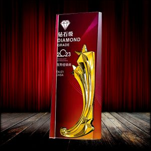 IMT 696 - Exclusive Metal Crystal Award