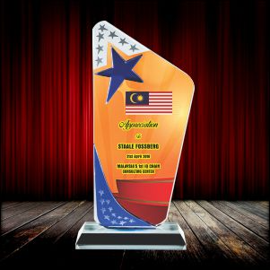 ICP 666 - 3D Emboss Star Crystal Award